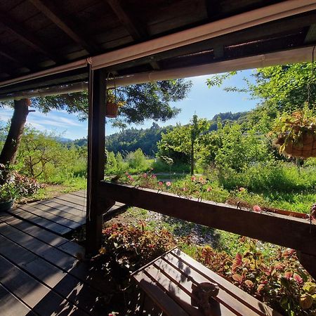O Cantinho De Coura - A Cabana Paredes de Coura Eksteriør bilde