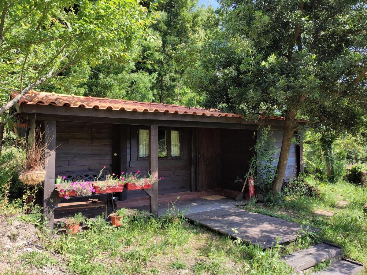 O Cantinho De Coura - A Cabana Paredes de Coura Eksteriør bilde