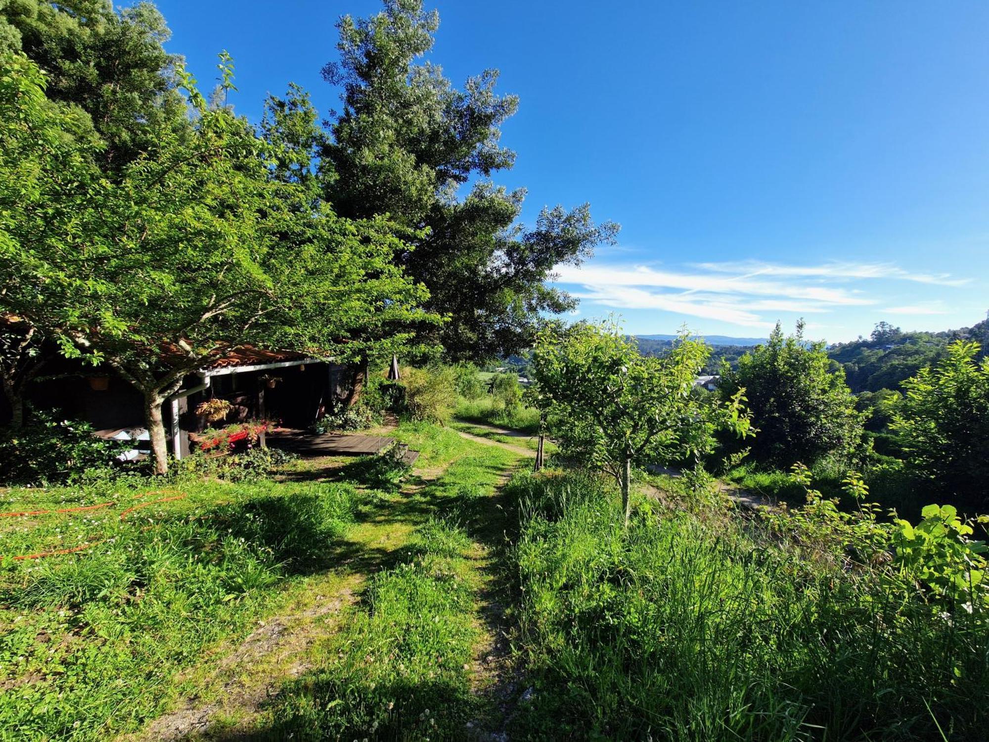 O Cantinho De Coura - A Cabana Paredes de Coura Eksteriør bilde