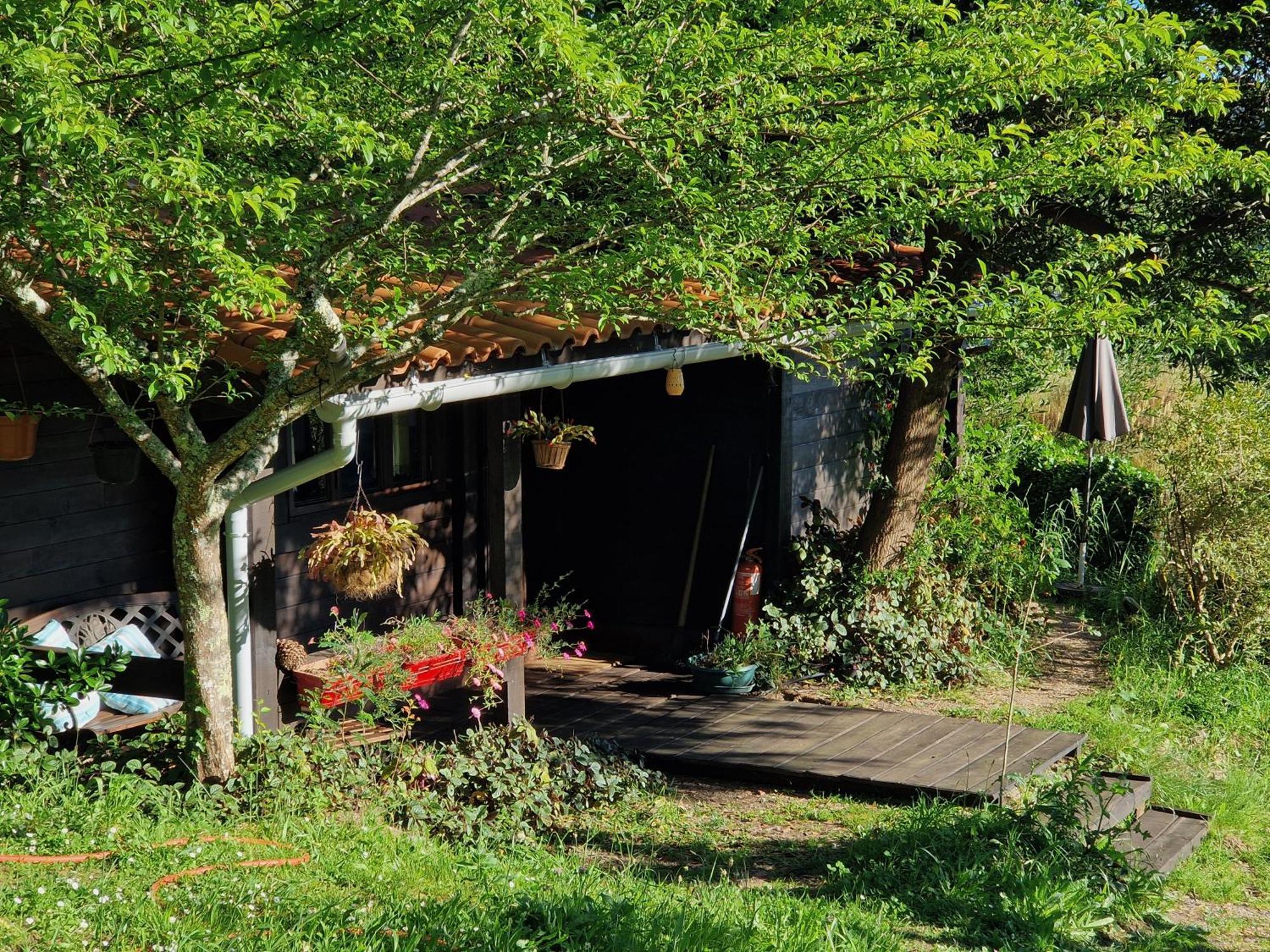 O Cantinho De Coura - A Cabana Paredes de Coura Eksteriør bilde