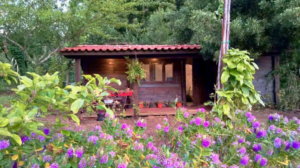 O Cantinho De Coura - A Cabana Paredes de Coura Eksteriør bilde